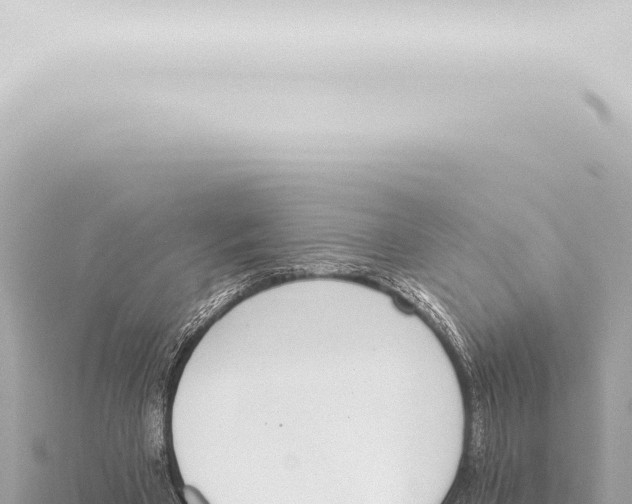 X0000115420393200912011250