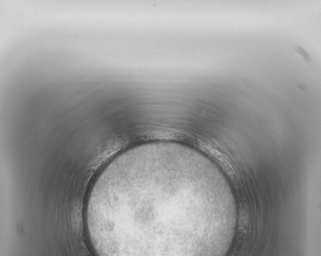 X0000115420394200912011250