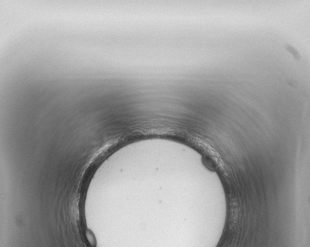 X0000115420395200912011250