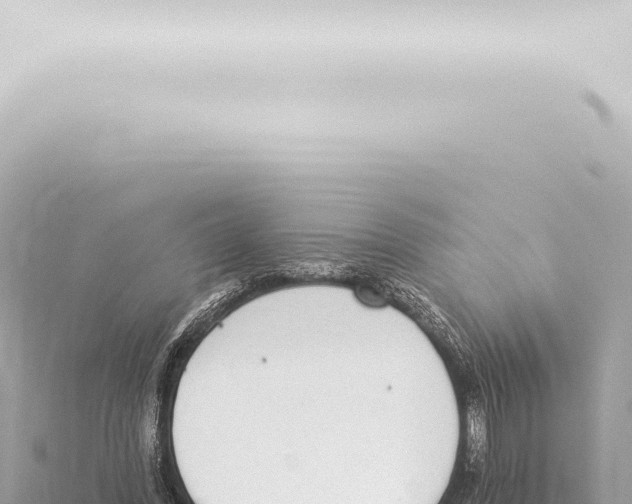 X0000115420396200912011250