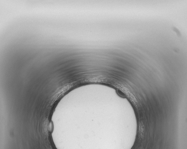 X0000115420397200912011250