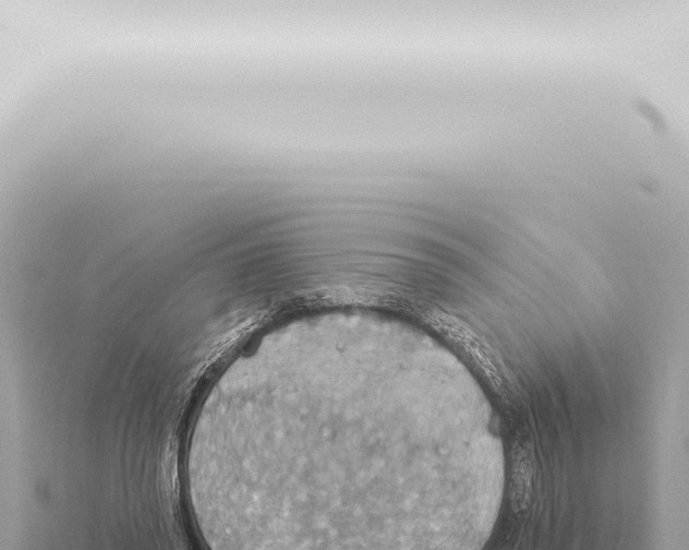 X0000115420398200912011250