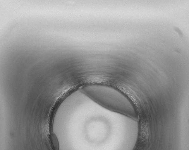 X0000115420399200912011250