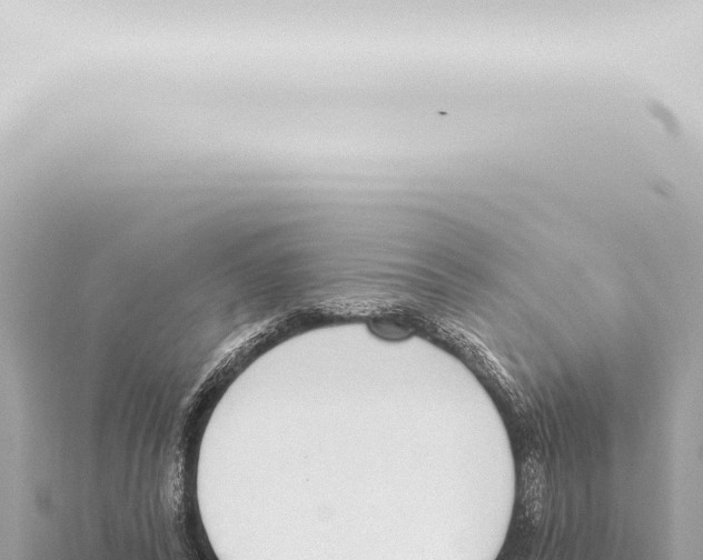 X0000115420400200912011250