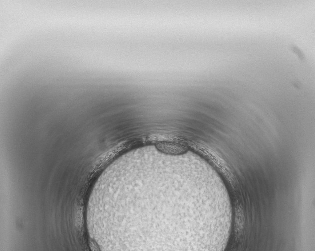 X0000115420401200912011250