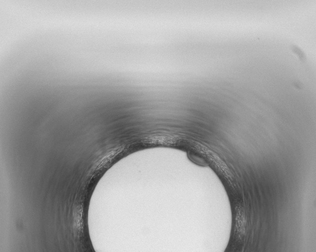 X0000115420403200912011250