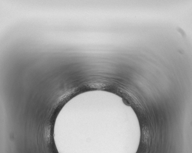 X0000115420404200912011250