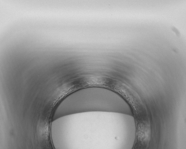 X0000115420405200912011250