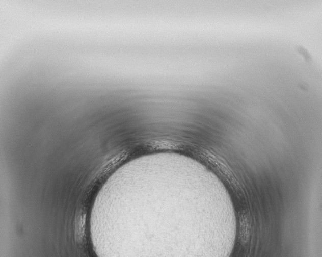 X0000115420406200912011250