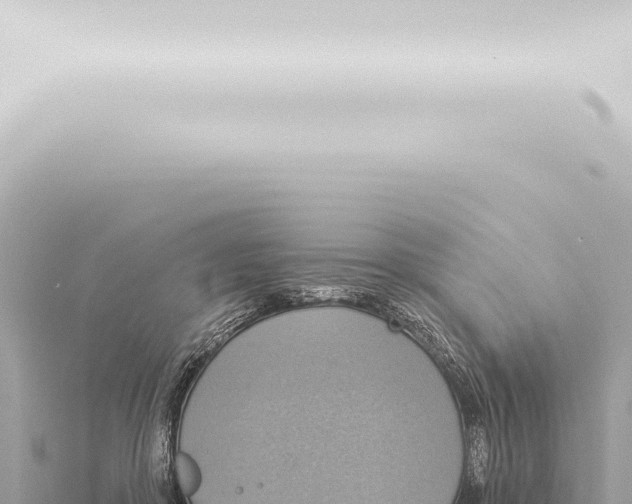 X0000115420410200912011250