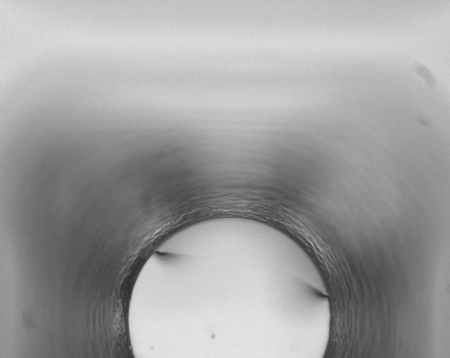 X0000115420411200912011250