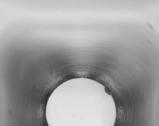 X0000115420412200912011250