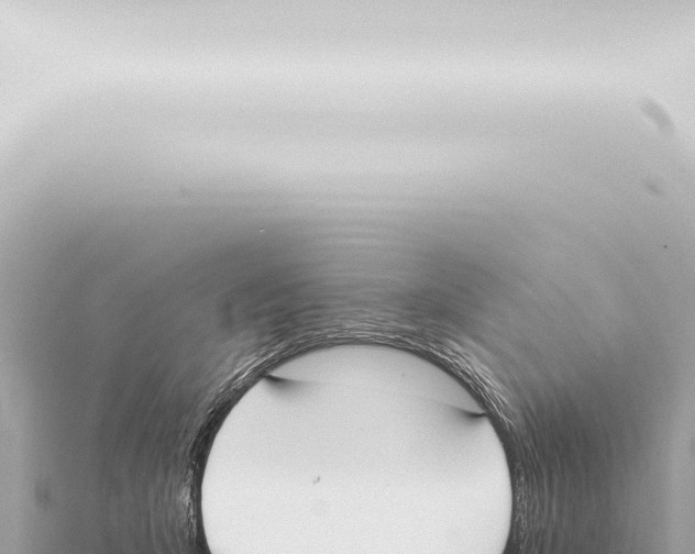 X0000115420415200912011250