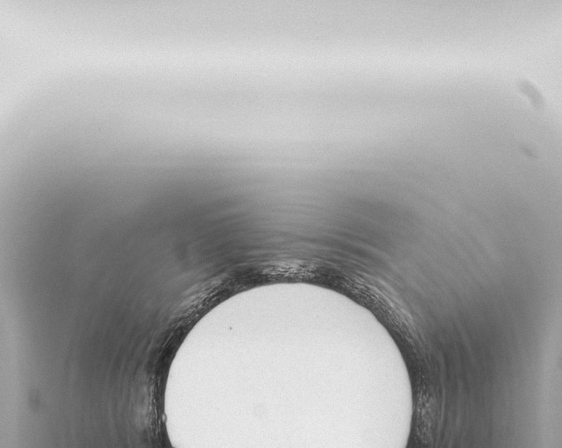 X0000115420416200912011250