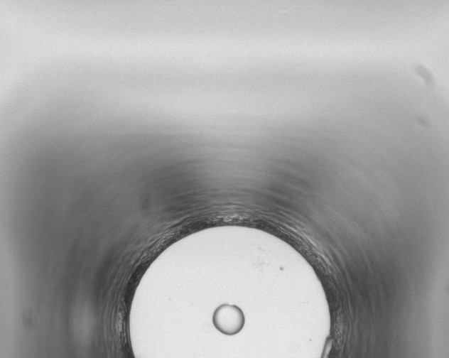 X0000115420417200912011250