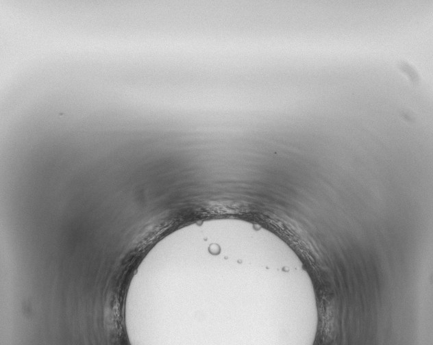 X0000115420418200912011250