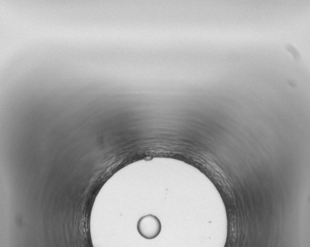 X0000115420419200912011250