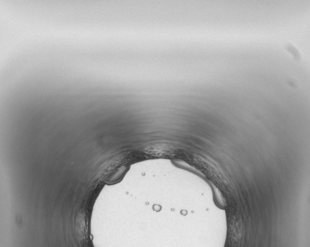 X0000115420420200912011250