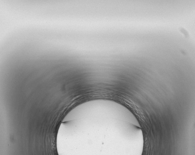 X0000115420421200912011250