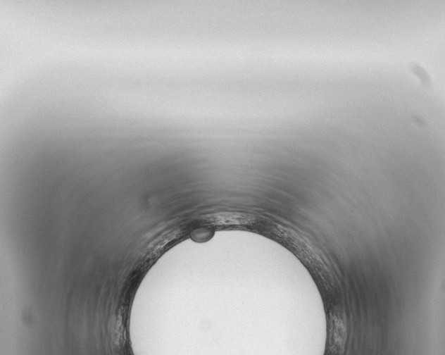 X0000115420422200912011250