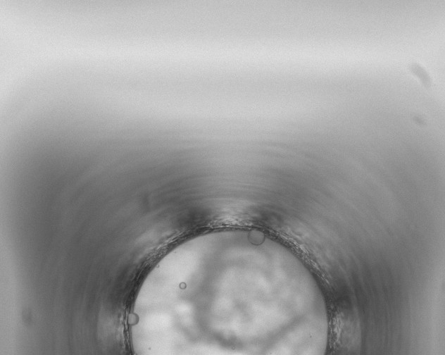 X0000115420423200912011250