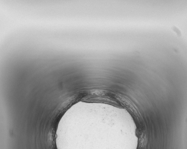 X0000115420424200912011250