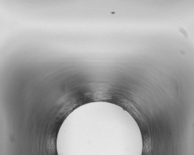 X0000115420426200912011250