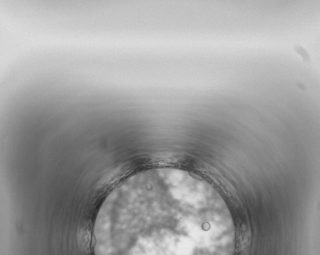 X0000115420427200912011250