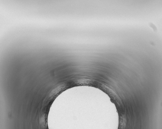 X0000115420428200912011250