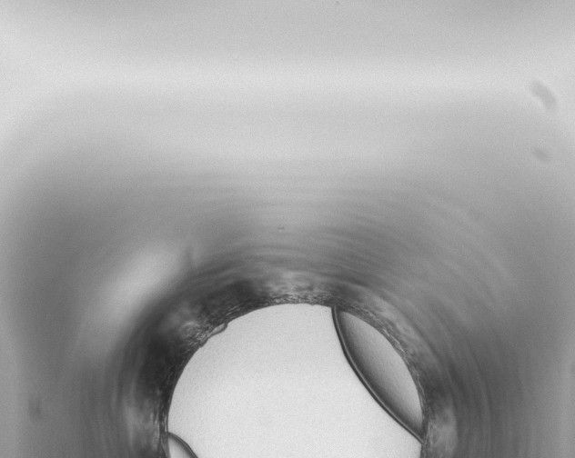 X0000115420429200912011250