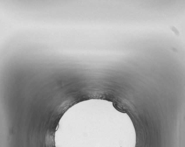 X0000115420432200912011250