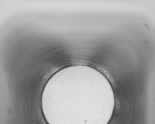 X0000115420433200912011249