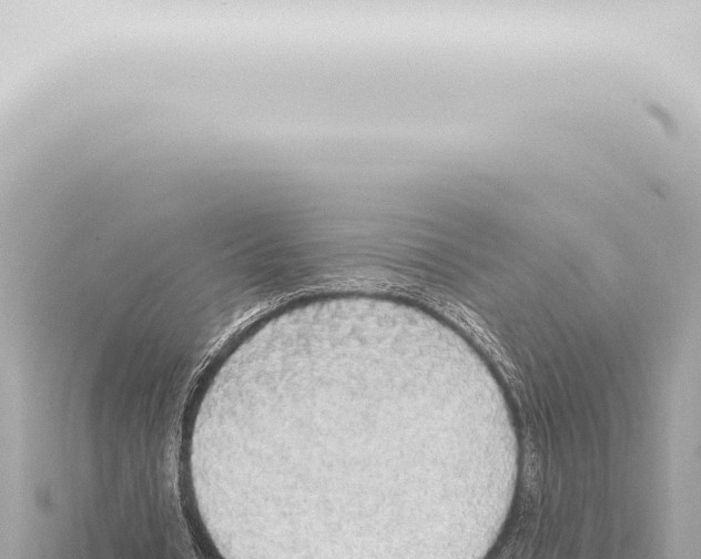 X0000115420434200912011249