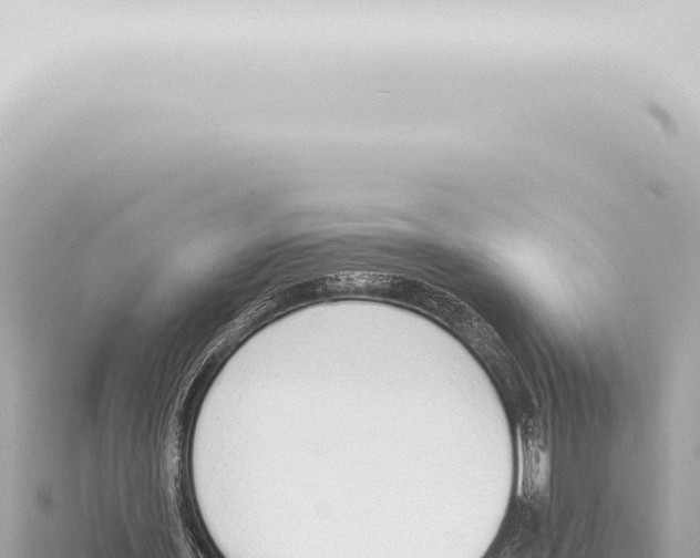 X0000115420435200912011249