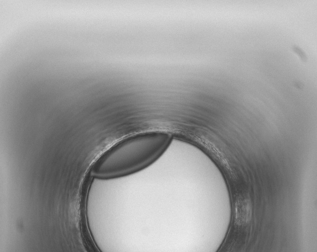 X0000115420436200912011249