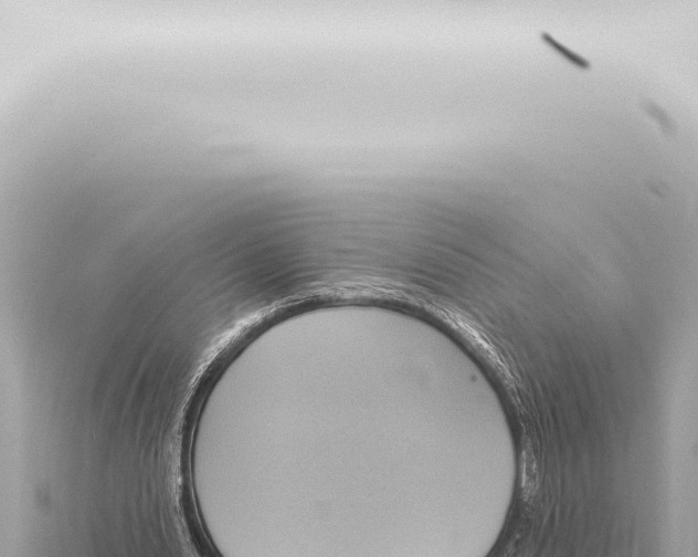 X0000115420438200912011249