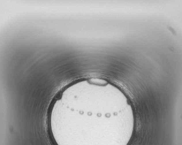 X0000115420439200912011249