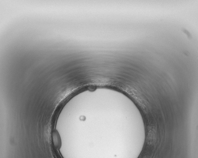 X0000115420440200912011249