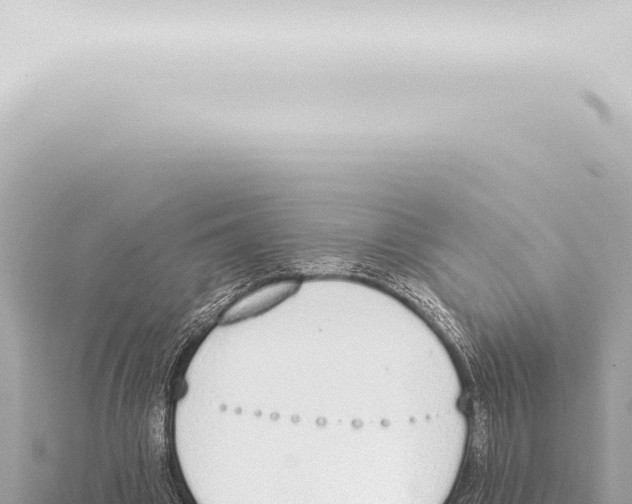 X0000115420441200912011249