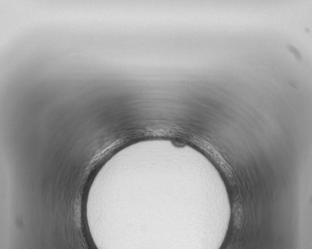 X0000115420442200912011249