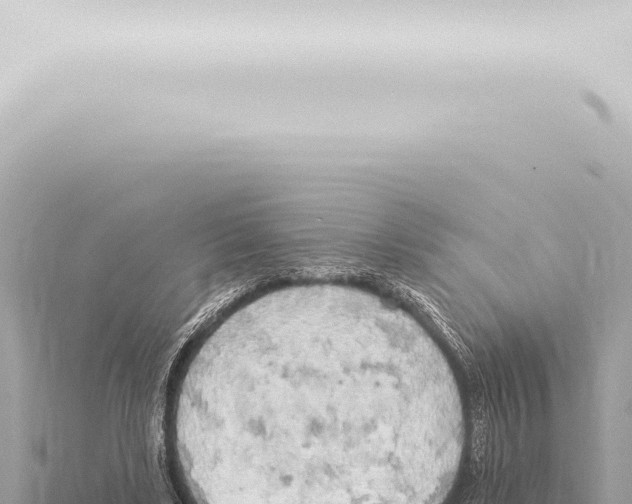 X0000115420443200912011249