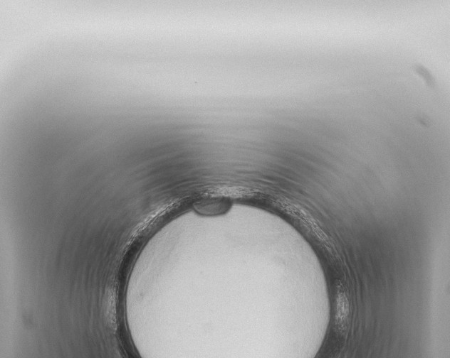 X0000115420444200912011249