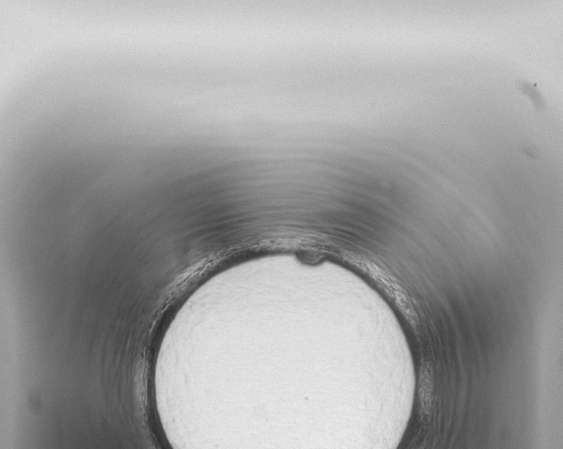 X0000115420445200912011249