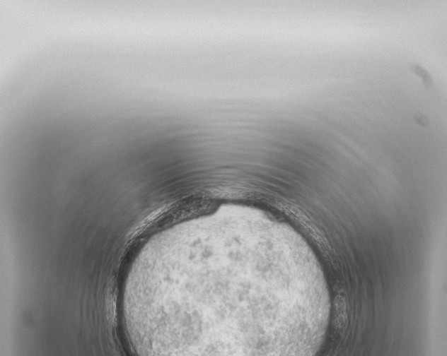 X0000115420446200912011249