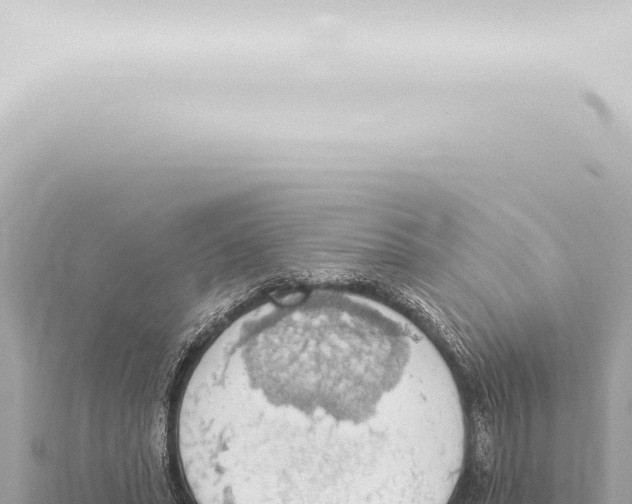 X0000115420447200912011249