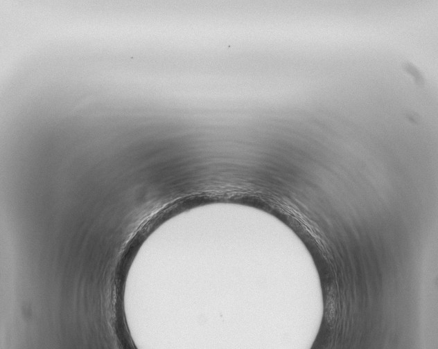 X0000115420448200912011249