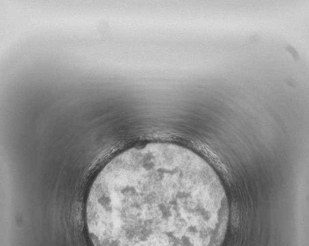 X0000115420449200912011249