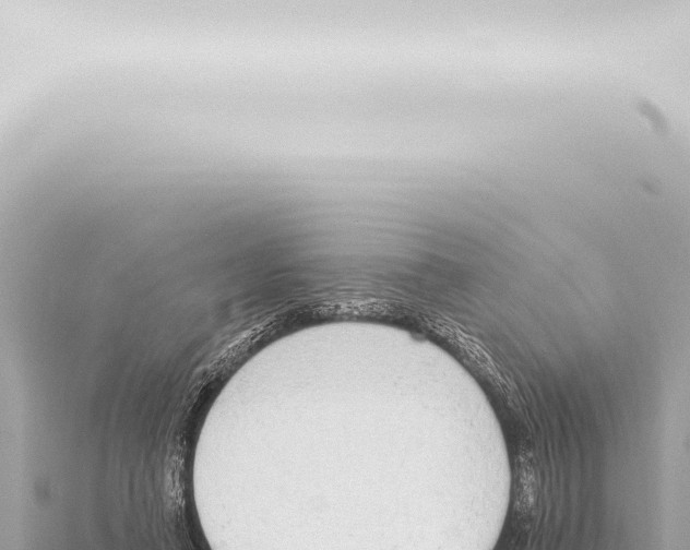 X0000115420450200912011249