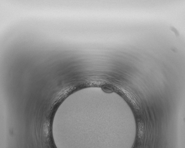 X0000115420451200912011249