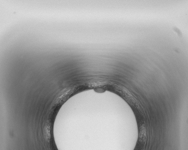 X0000115420452200912011249